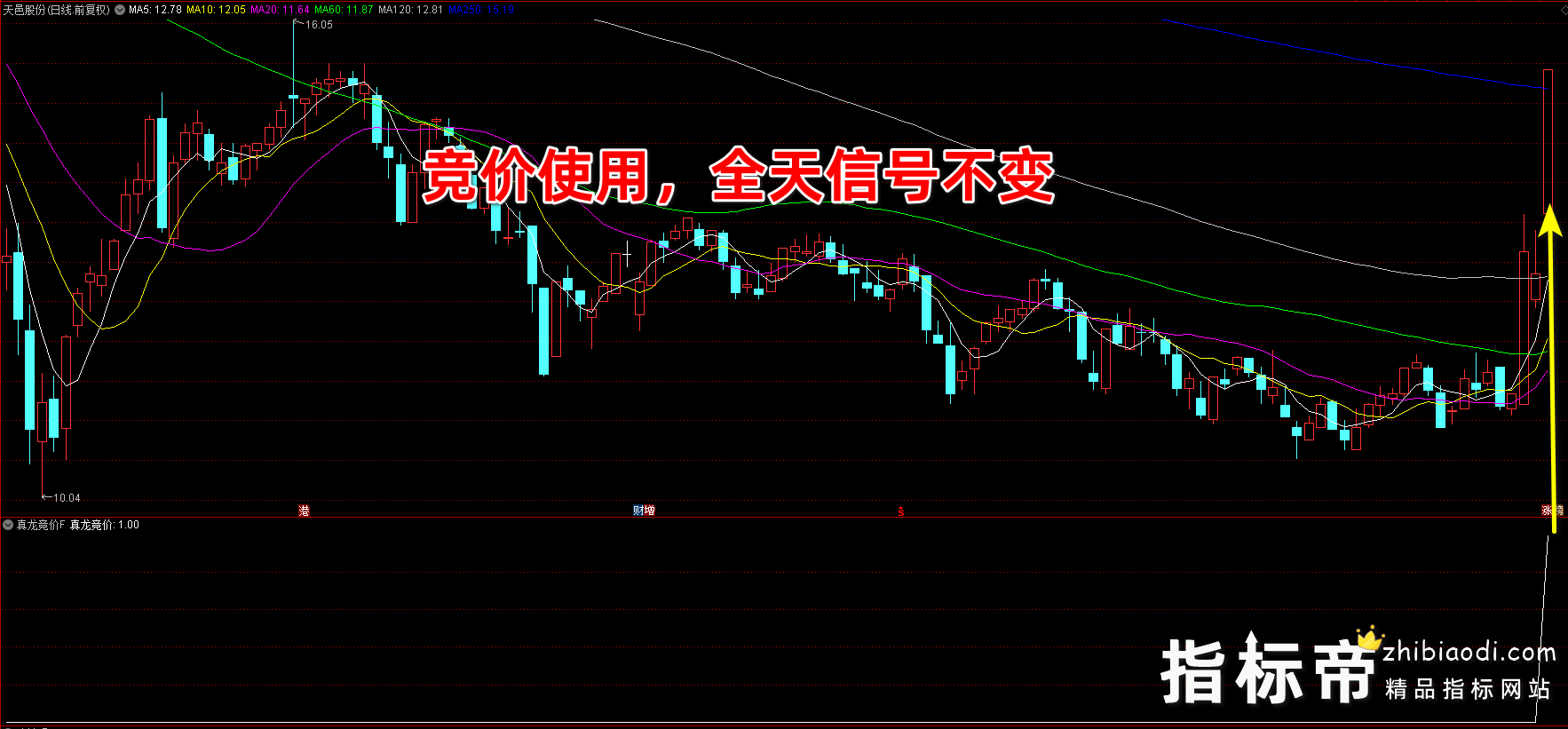 真龙竞价指标