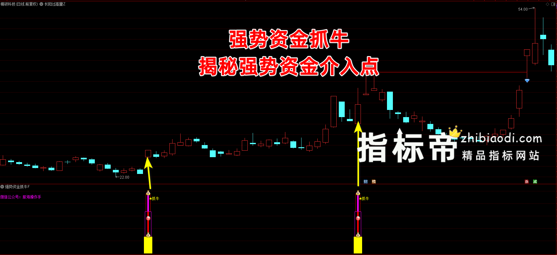 强势资金抓牛指标