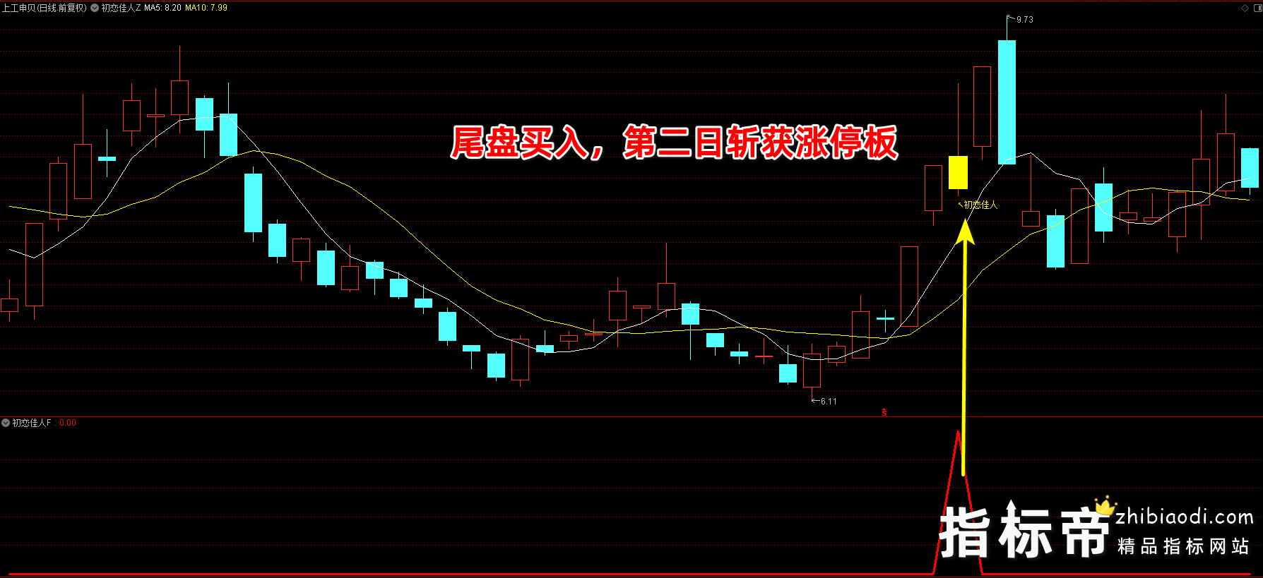 金钻初恋佳人指标
