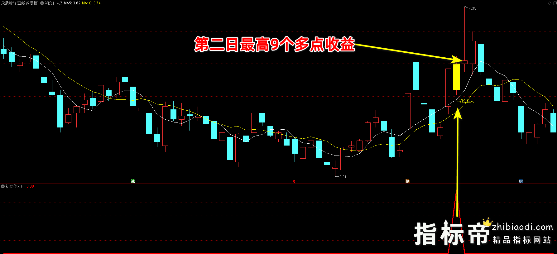 金钻初恋佳人指标