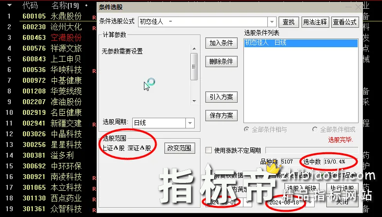 金钻初恋佳人指标