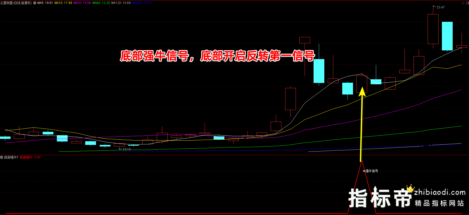 底部强牛指标