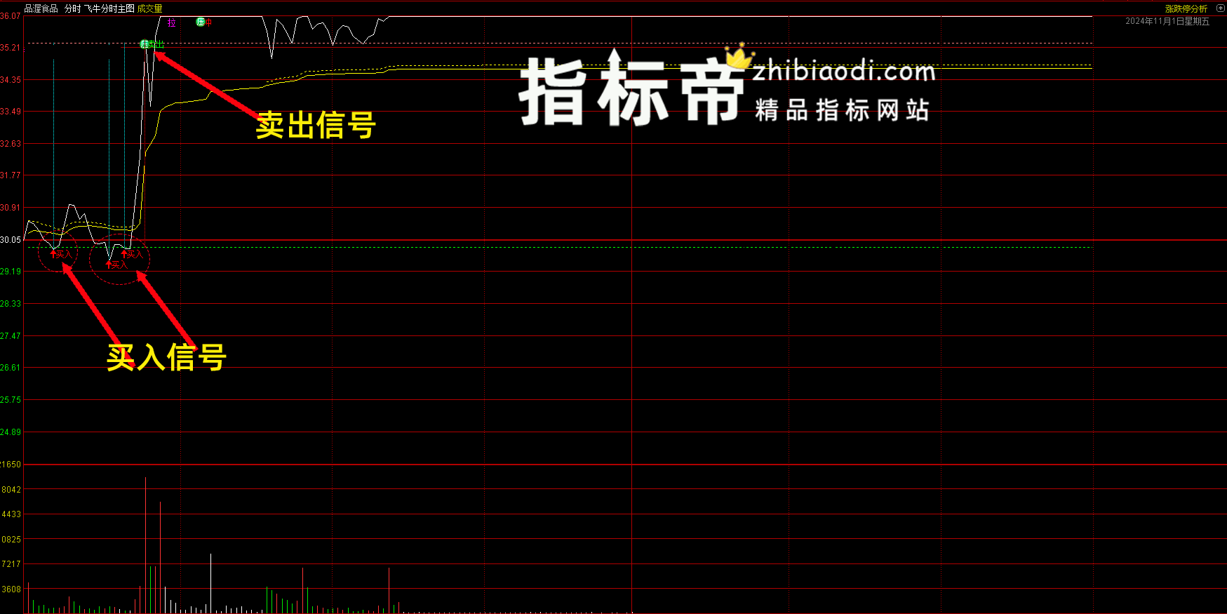 飞牛分时指标