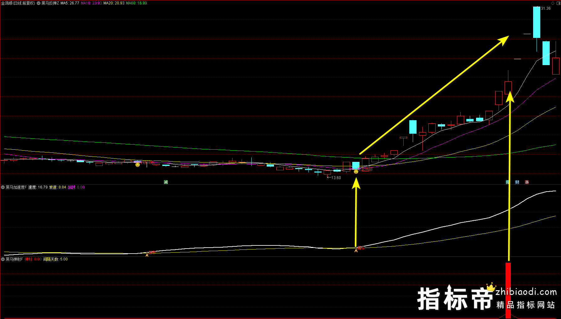 黑马反弹指标