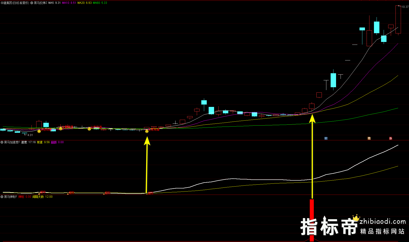 黑马反弹指标