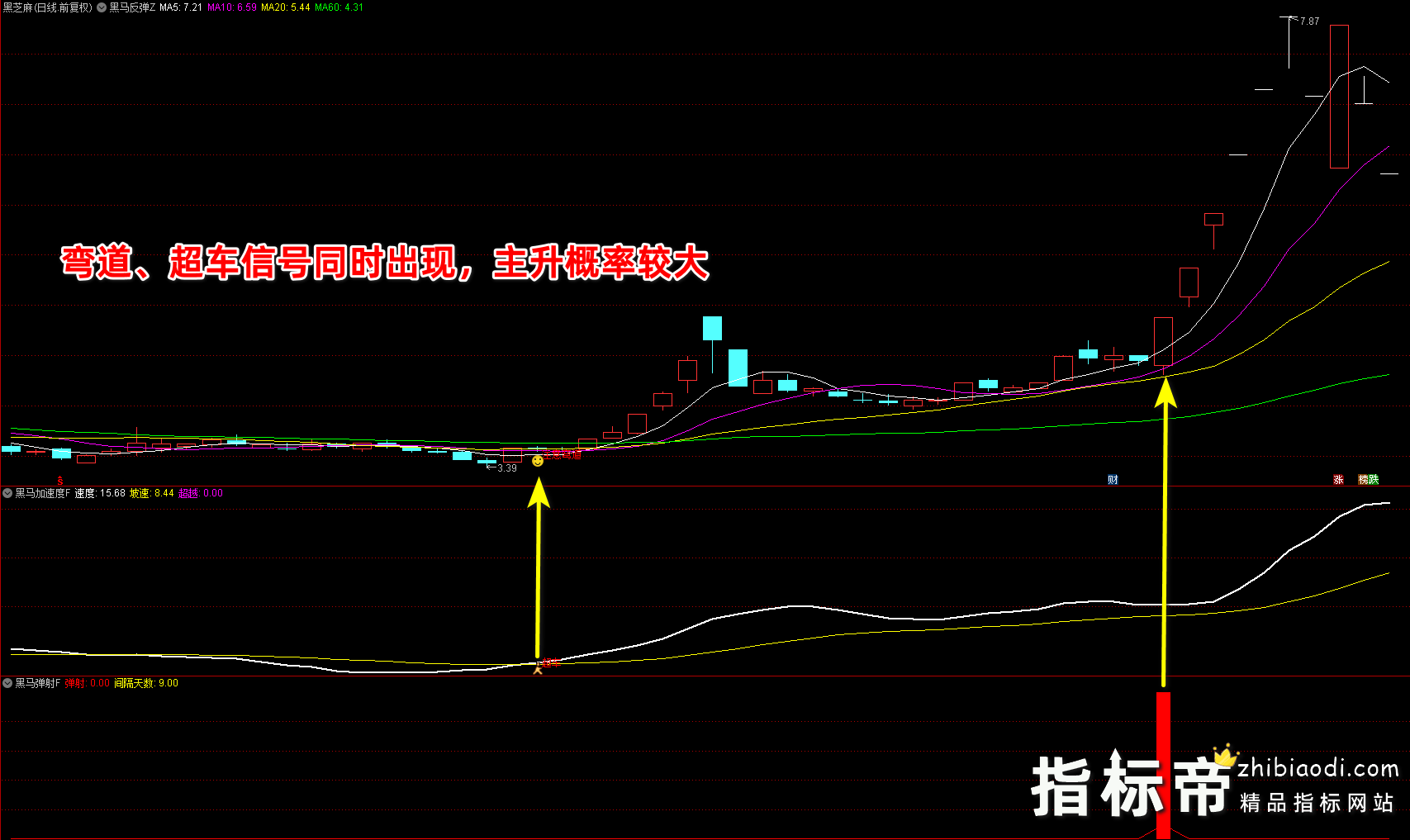 黑马反弹指标
