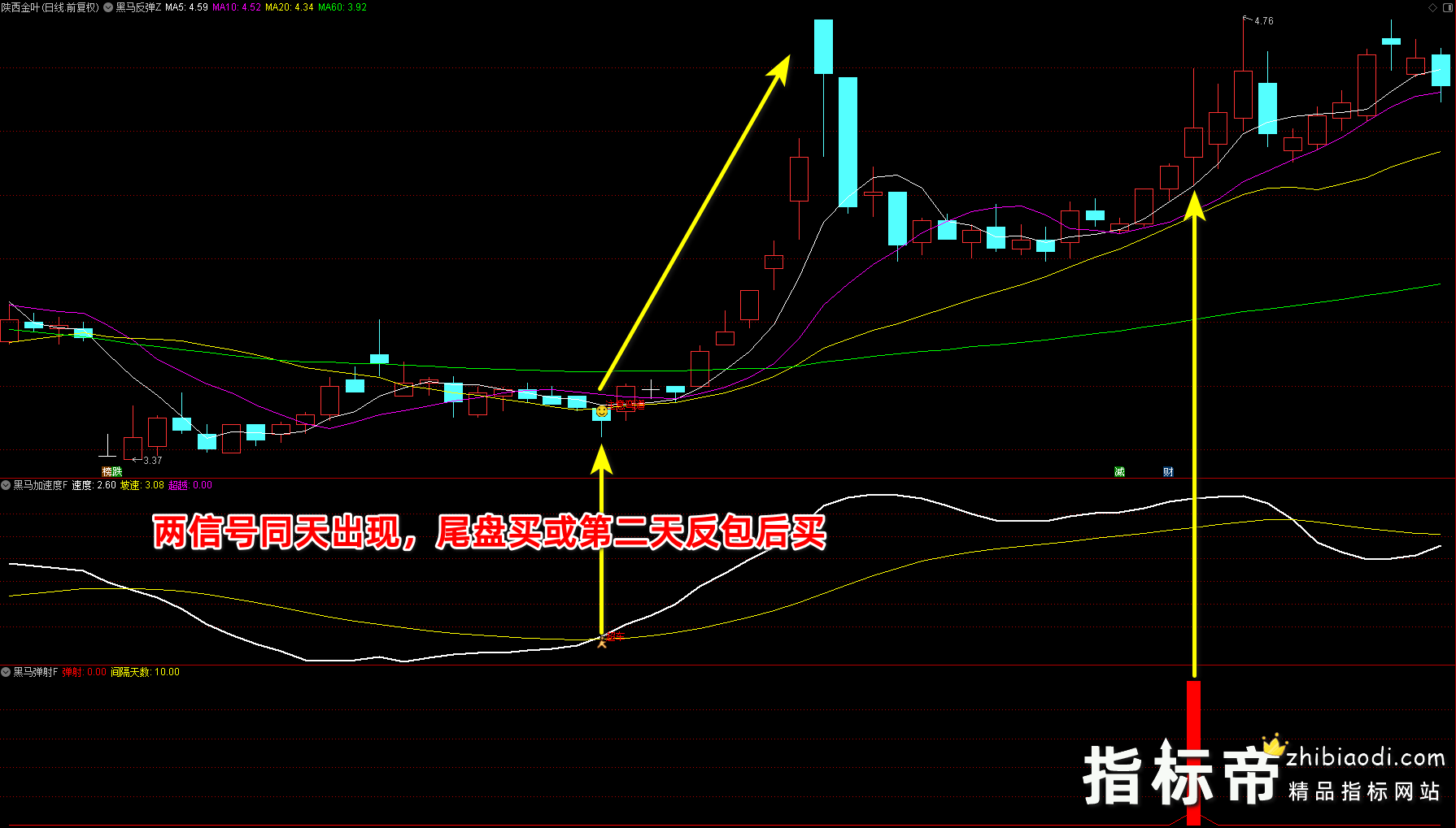 黑马反弹指标