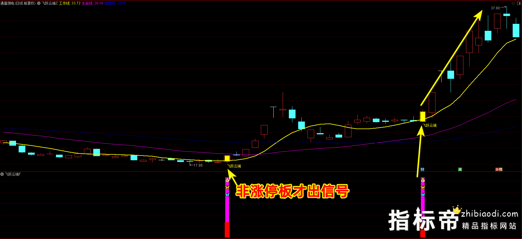 飞跃云端指标