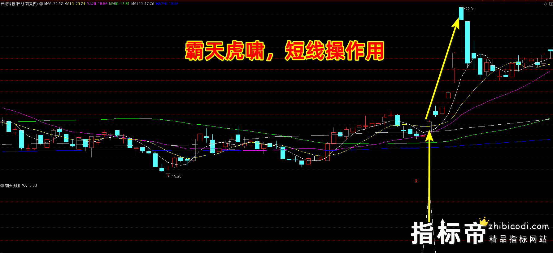 霸天虎啸指标