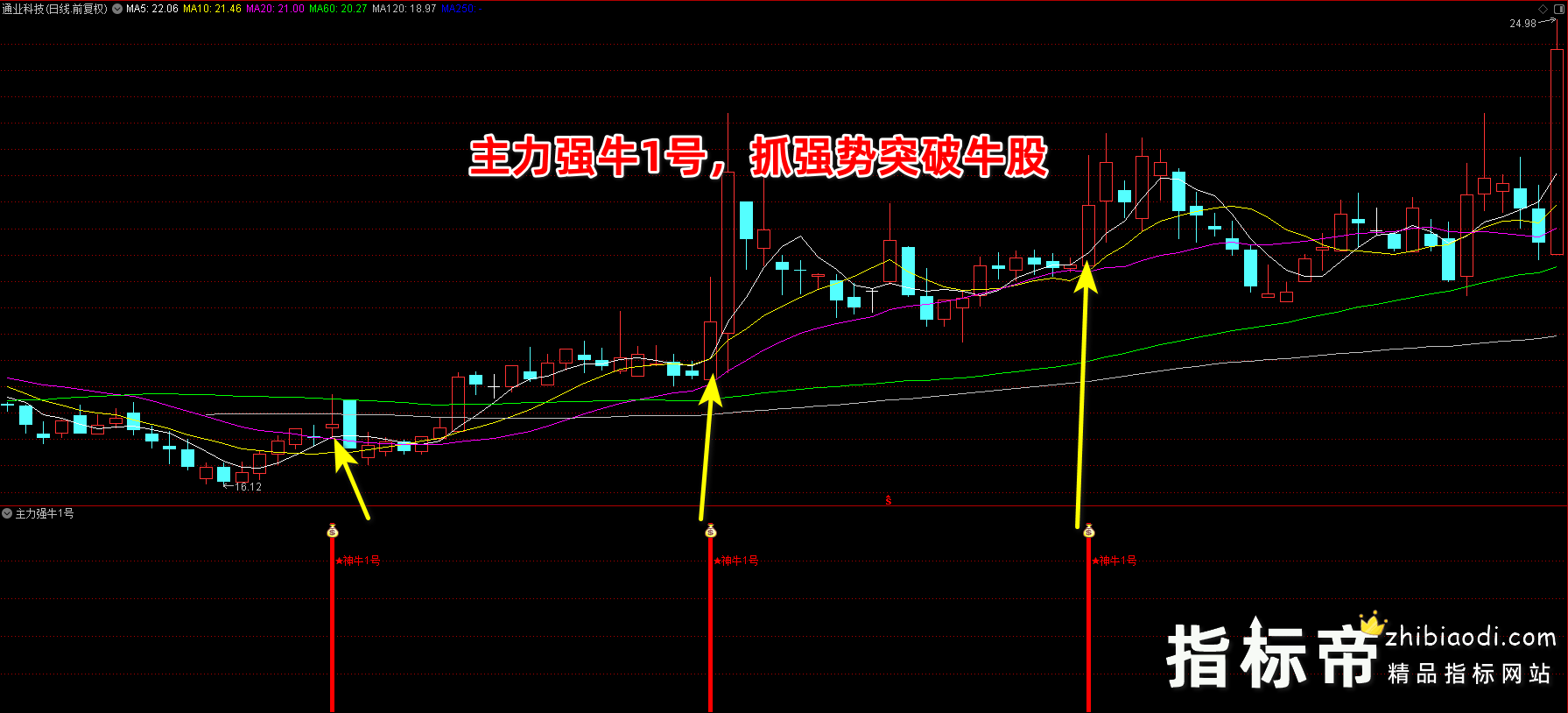 主力强牛1号指标