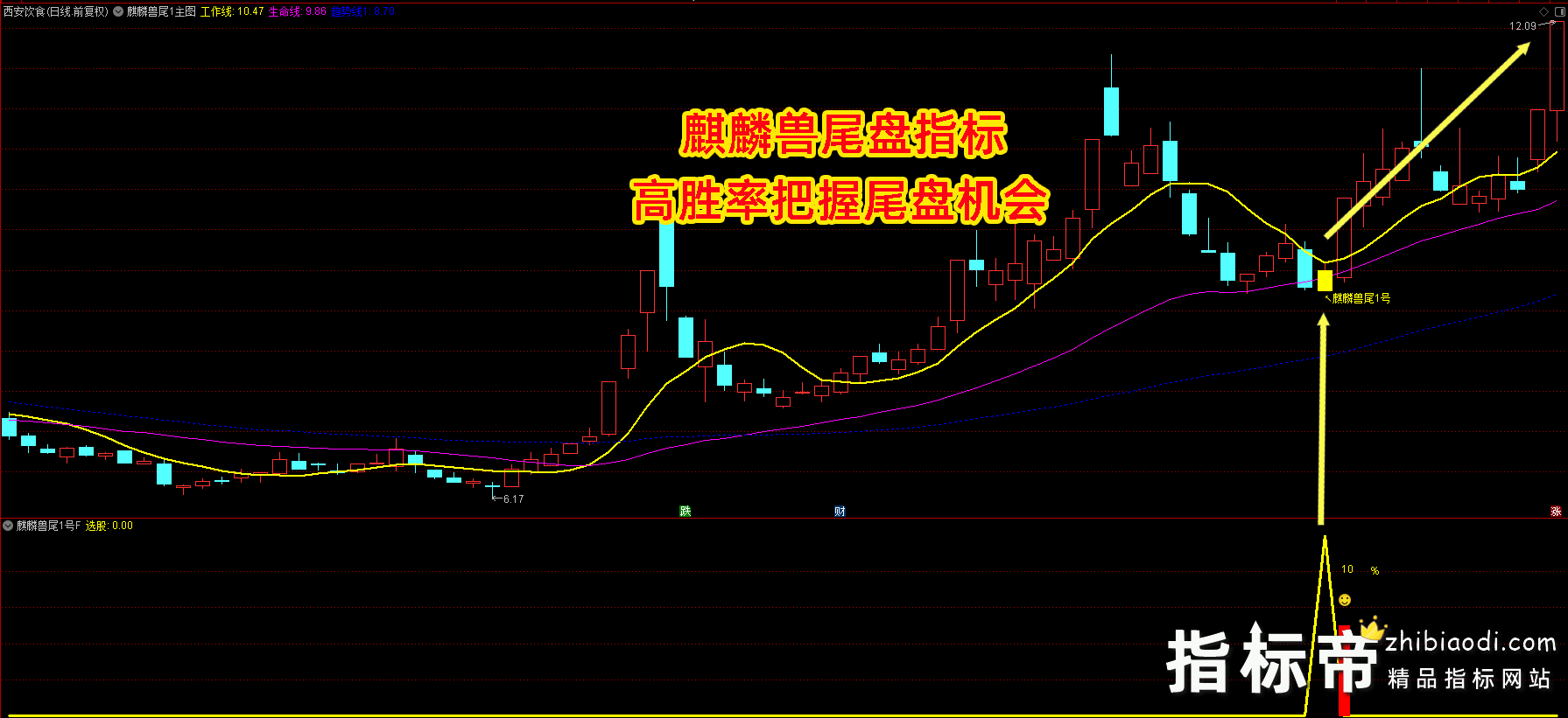 麒麟兽尾1号指标