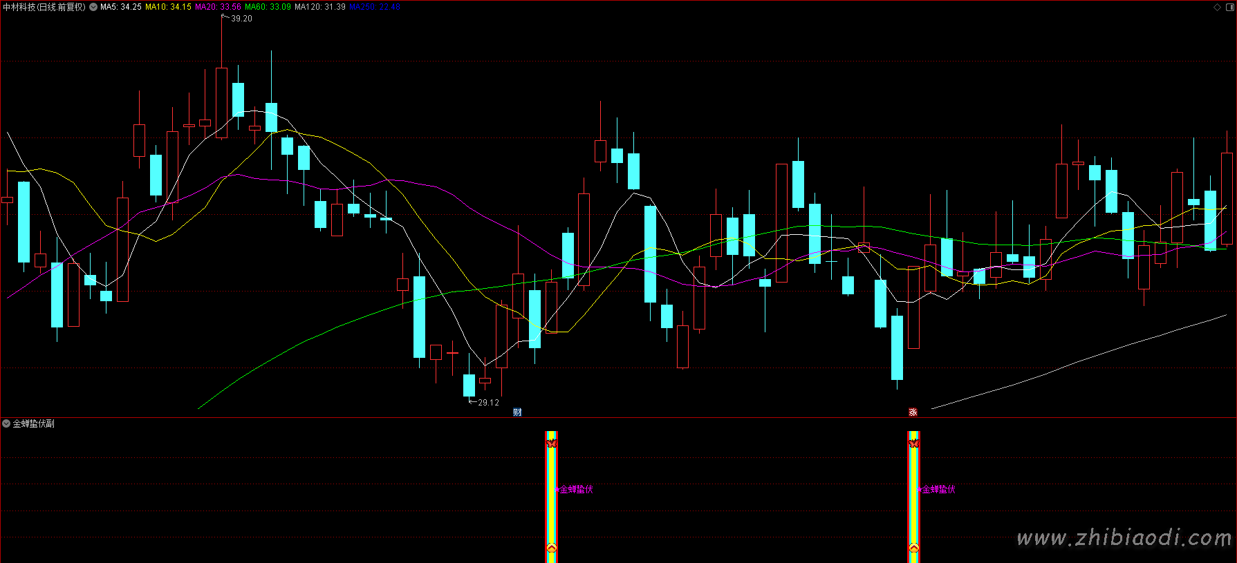金蝉蛰伏指标 金蝉蛰伏指标