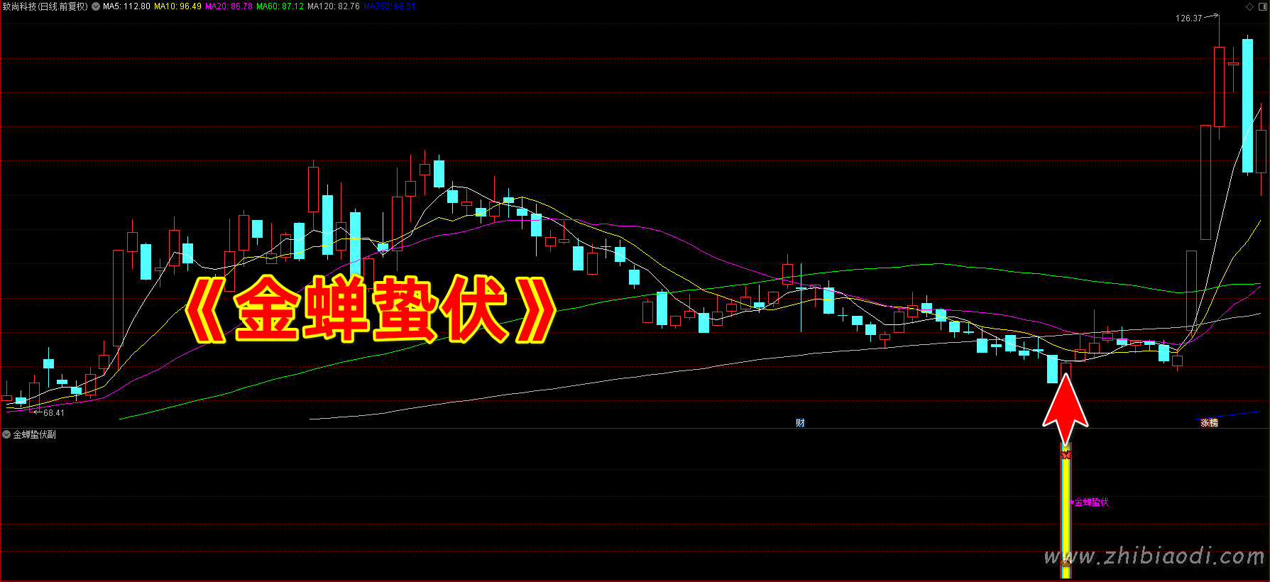 金蝉蛰伏指标 金蝉蛰伏指标