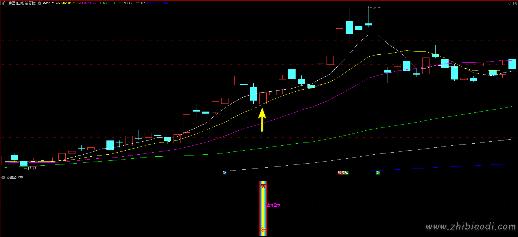 金蝉蛰伏指标 金蝉蛰伏指标