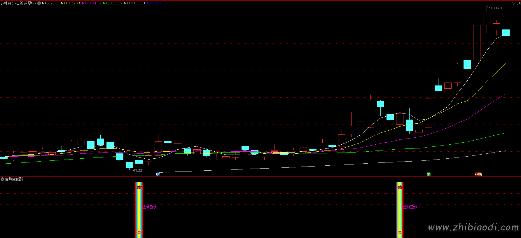 金蝉蛰伏指标 金蝉蛰伏指标