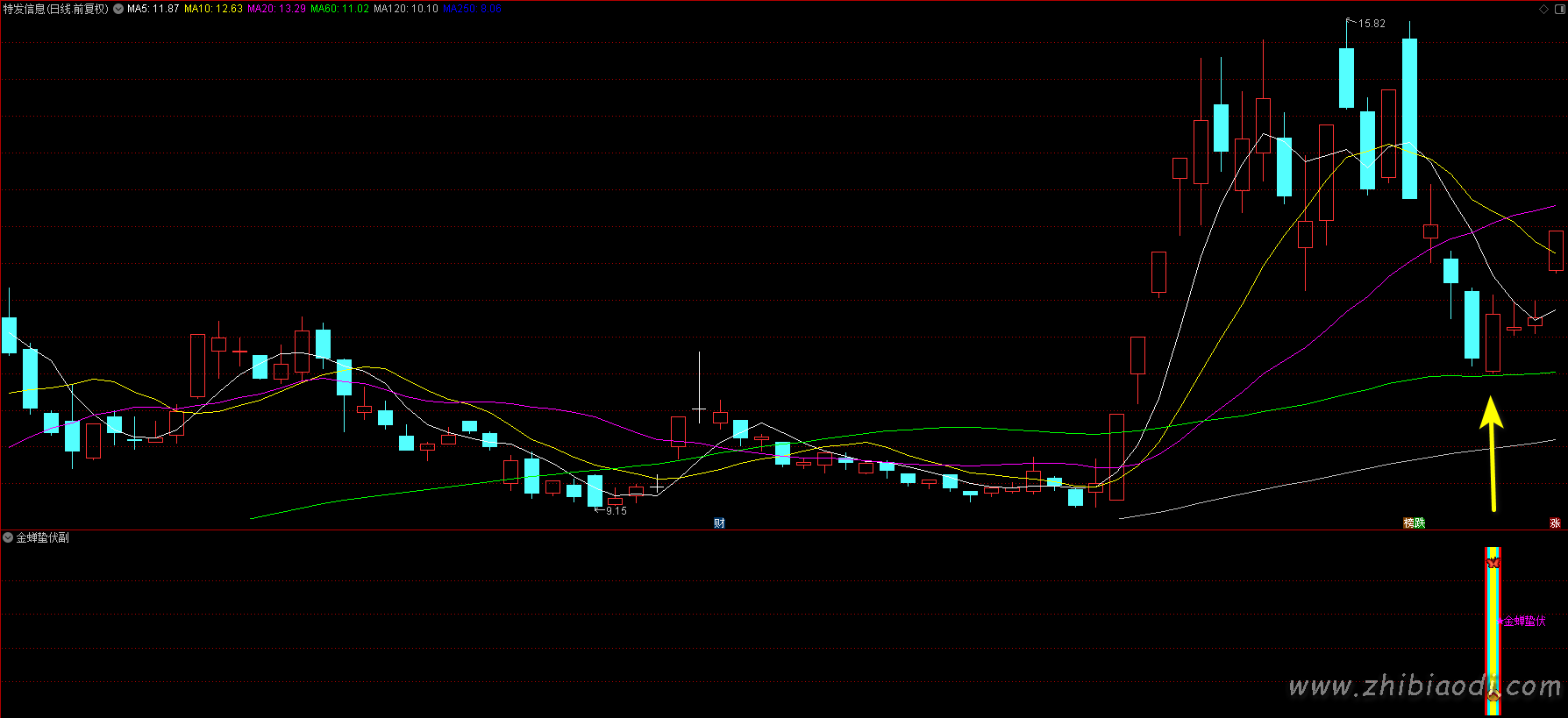 金蝉蛰伏指标 金蝉蛰伏指标