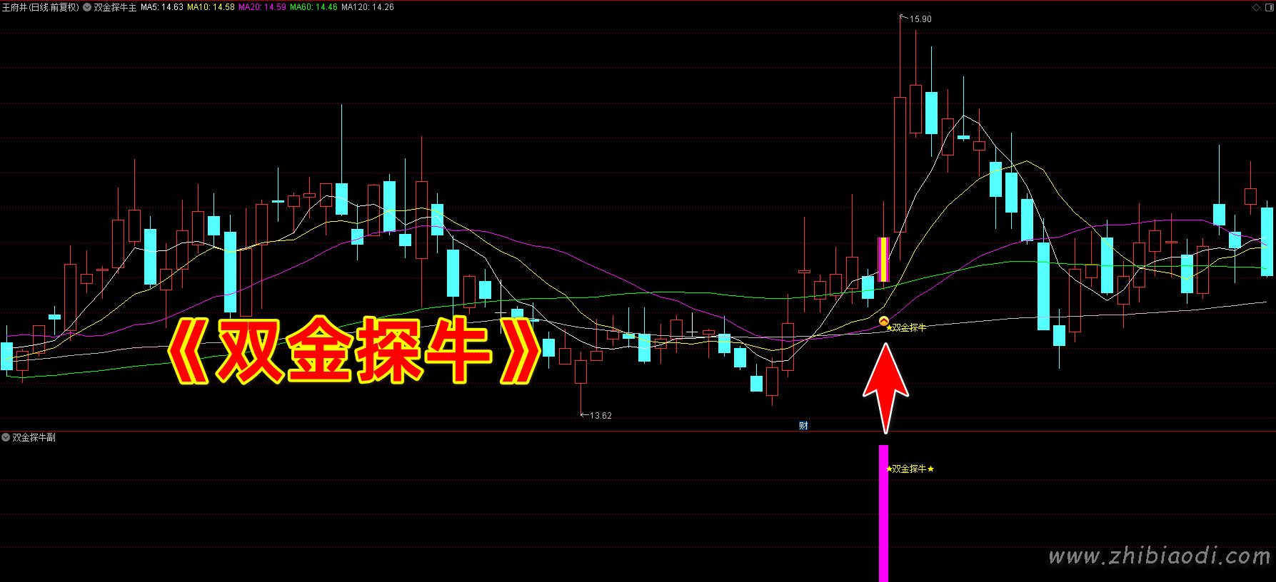 双金探牛指标