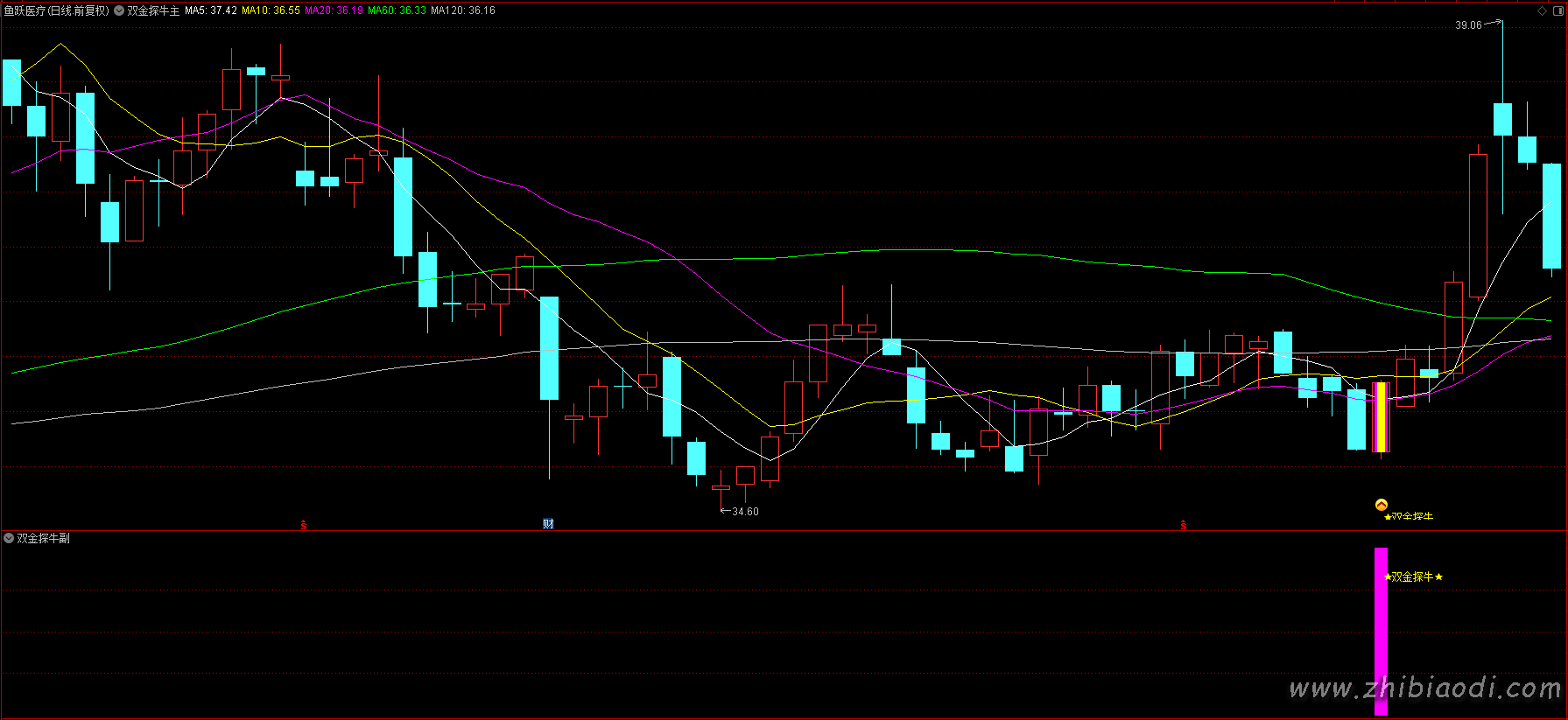 双金探牛指标