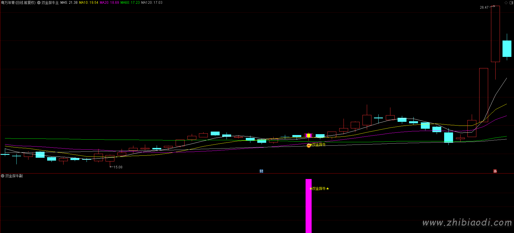 双金探牛指标