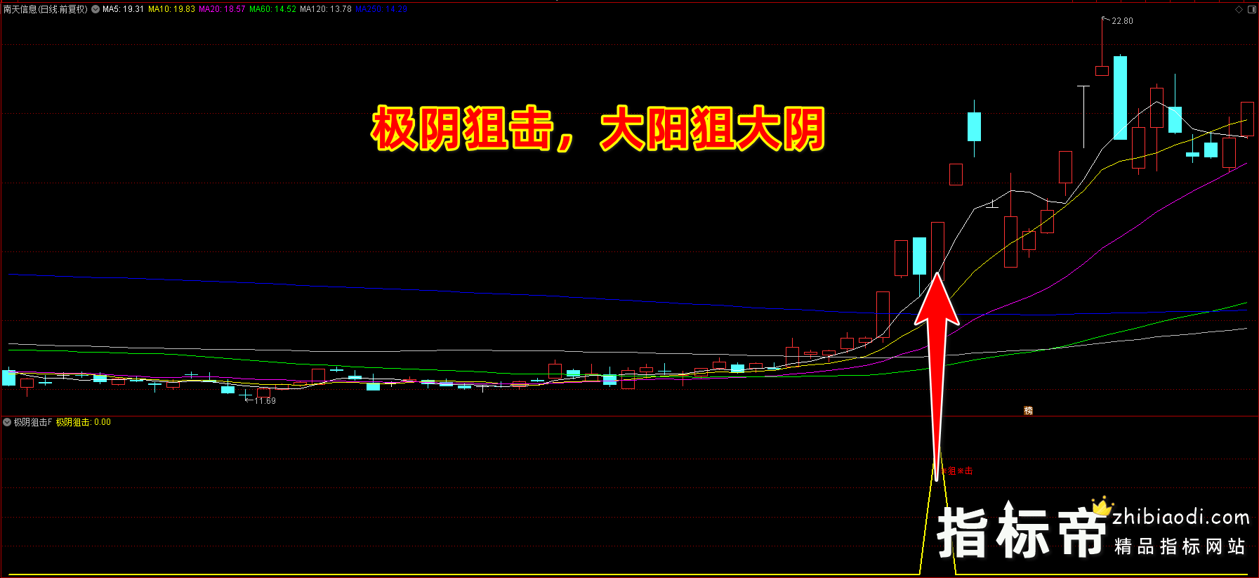 极阴狙击指标