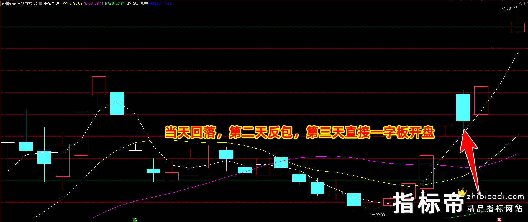 竞价先锋指标