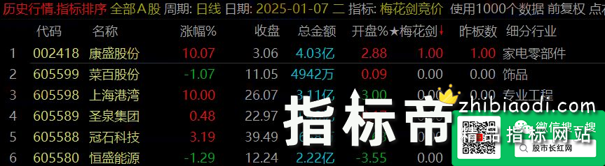 梅花太子剑指标