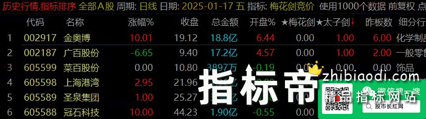 梅花太子剑指标