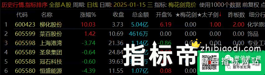 梅花太子剑指标