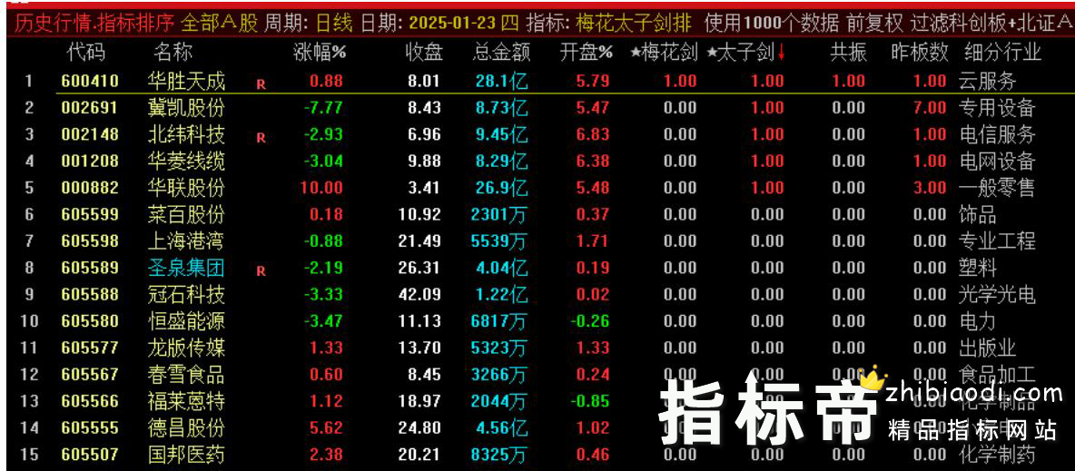 梅花太子剑指标