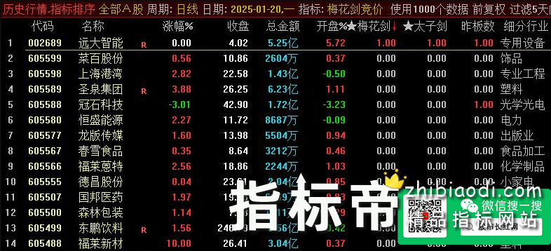 梅花太子剑指标