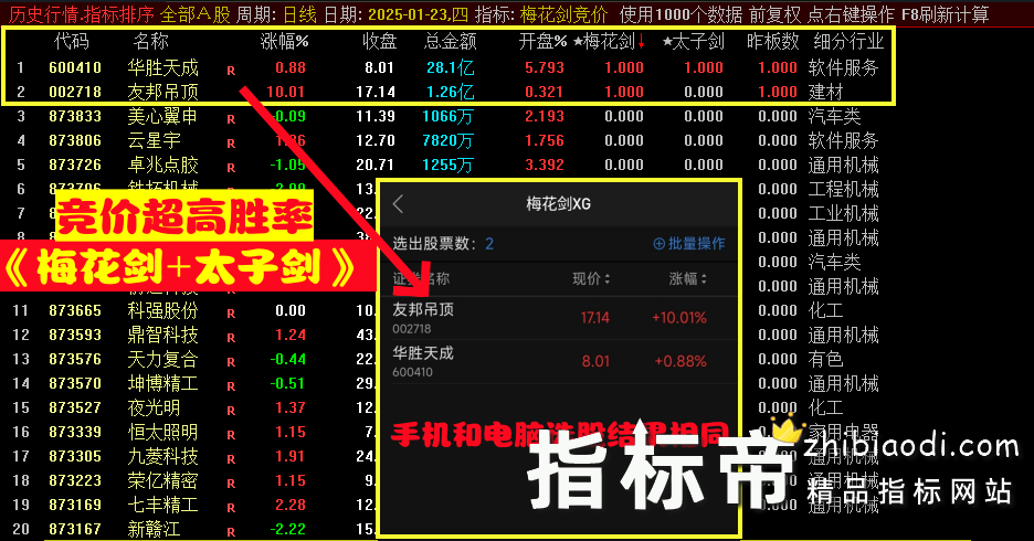 梅花太子剑指标