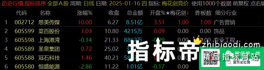 梅花太子剑指标