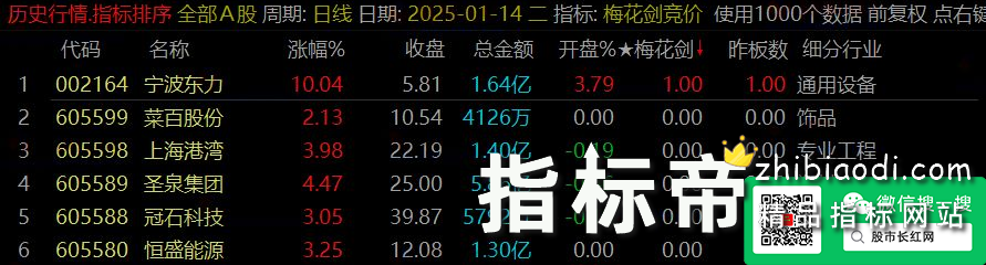 梅花太子剑指标