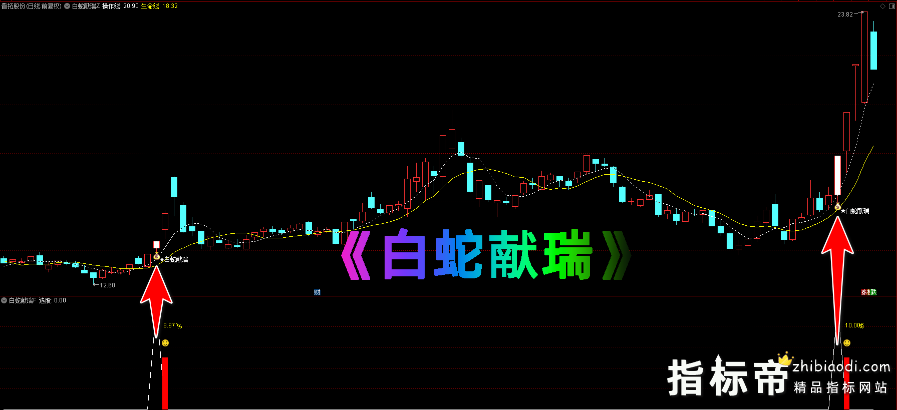 白蛇献瑞指标