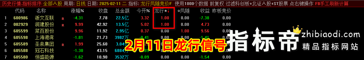 2025龙行凤随指标