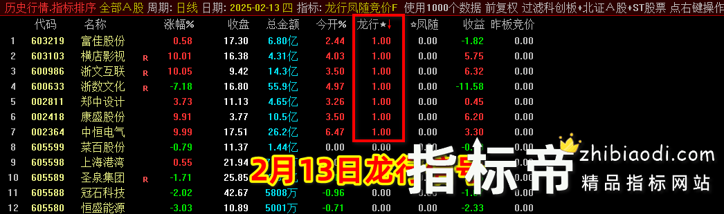 2025龙行凤随指标