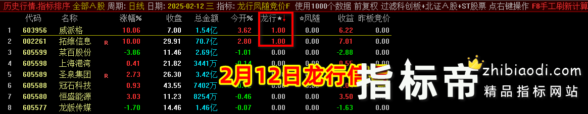 2025龙行凤随指标