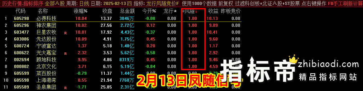 2025龙行凤随指标