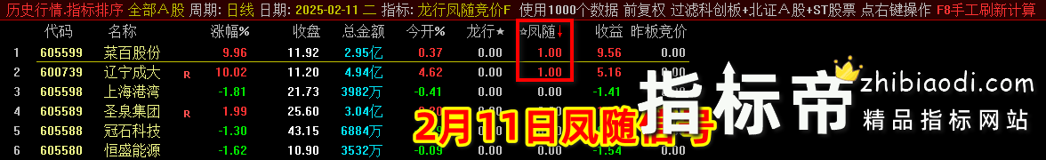 2025龙行凤随指标
