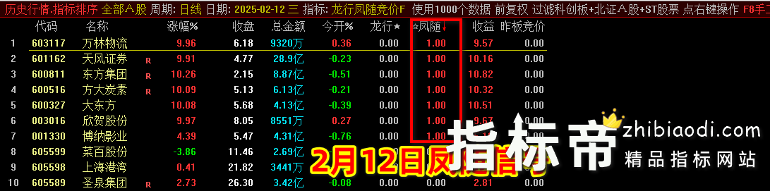 2025龙行凤随指标