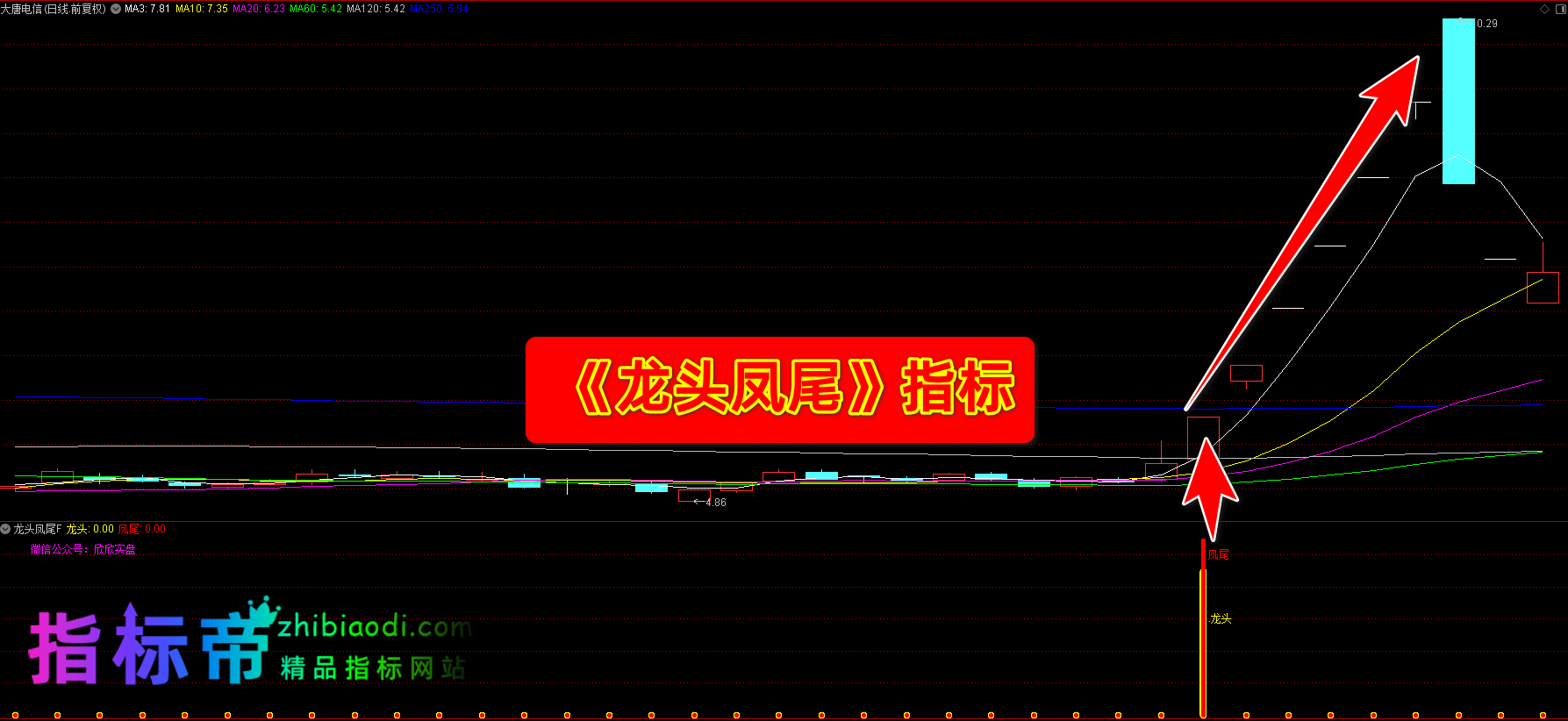 龙头凤尾指标