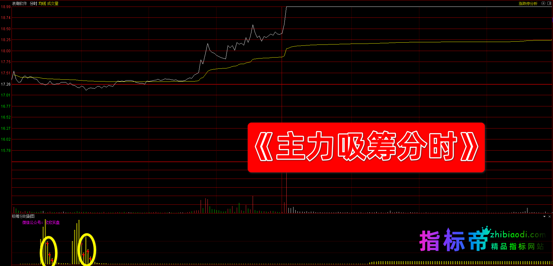 吸筹分时指标