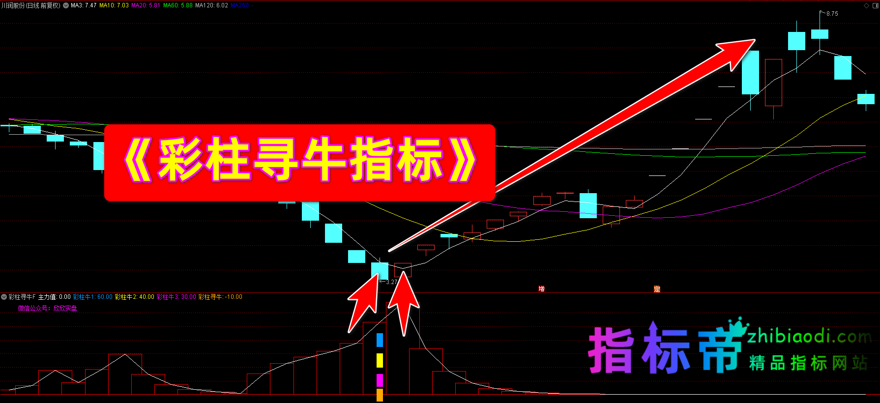 彩柱寻牛指标
