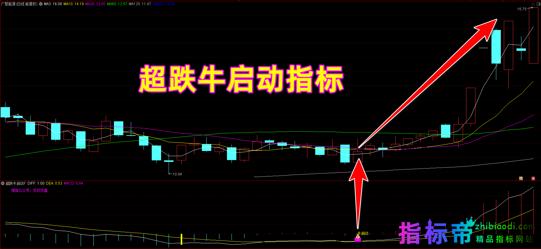 超跌牛启动指标