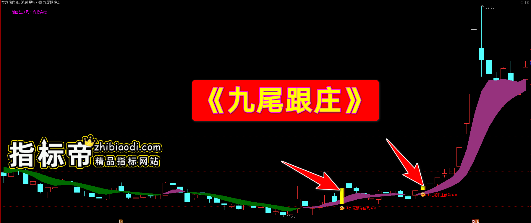 九尾跟庄指标