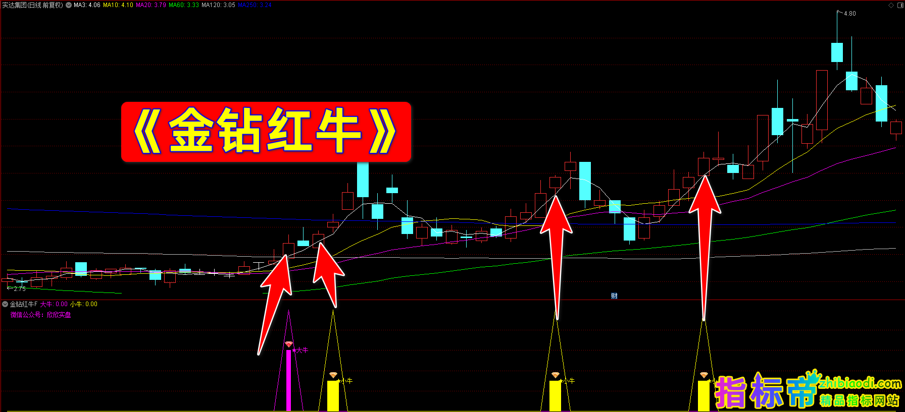 金钻红牛指标