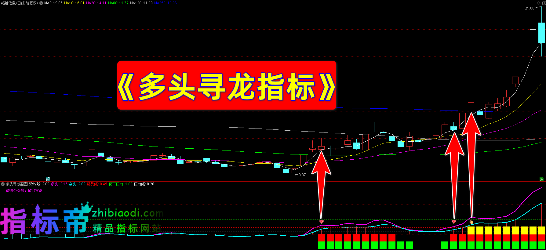 多头寻龙指标