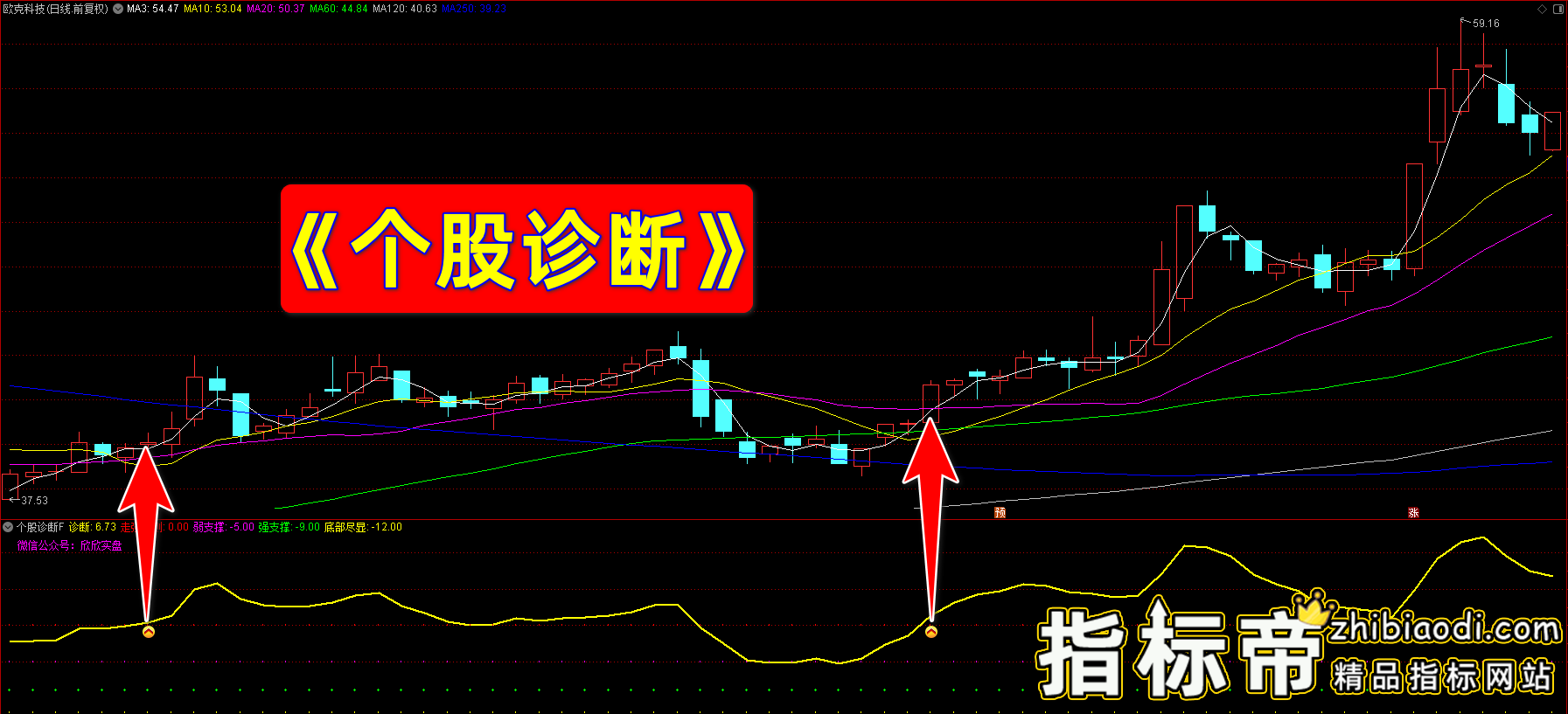 个股诊断指标