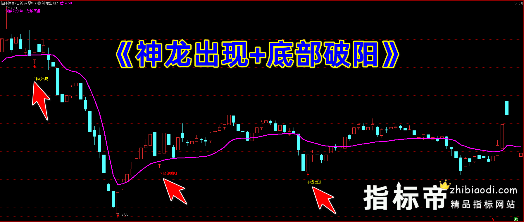 神龙出现指标