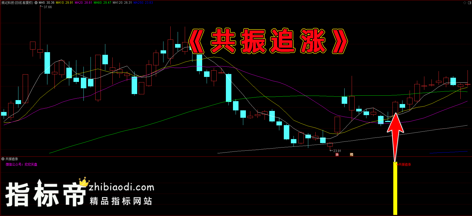 共振追涨指标